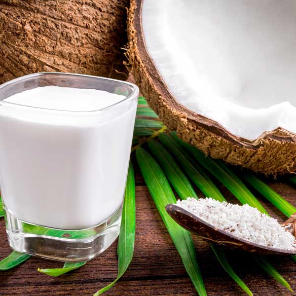 Amazing Benefits Of Coconut Milk Powder